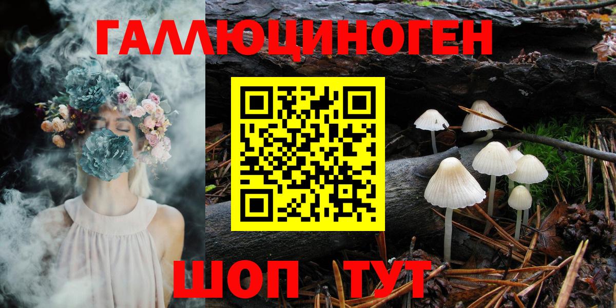 Псилоцибиновые грибы прущие грибы Озёрск